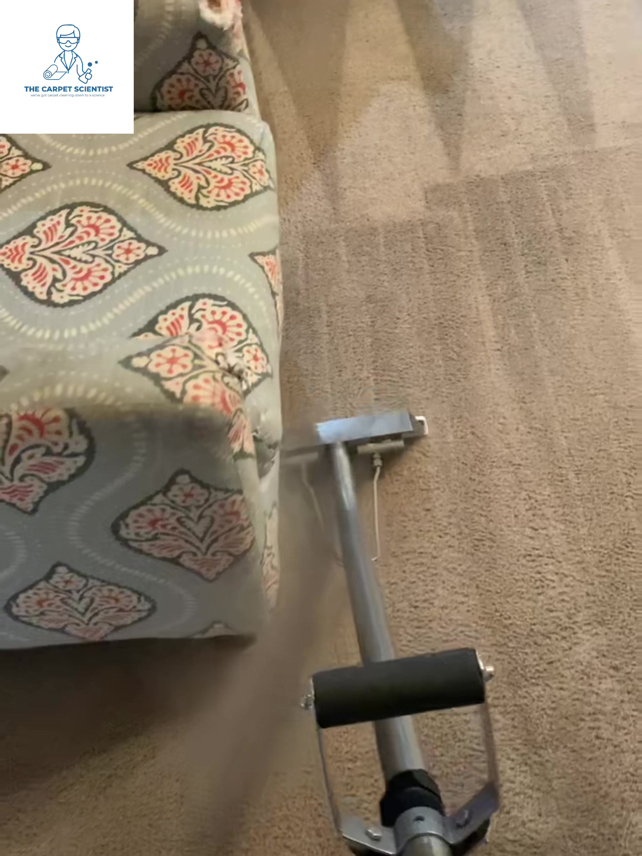 Carpet cleaning equipment alongside furniture from the original company portfolio.